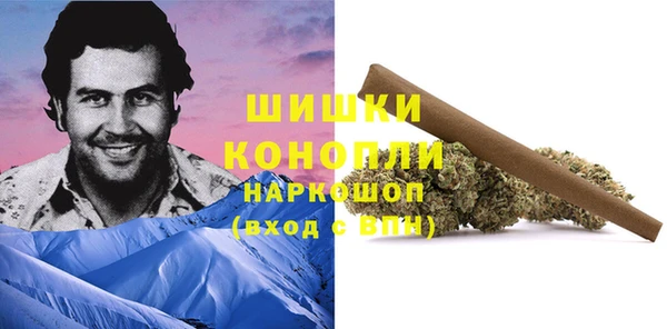 гашик Медногорск