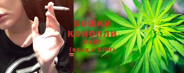 молекула духа Мегион