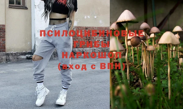 молекула духа Мегион