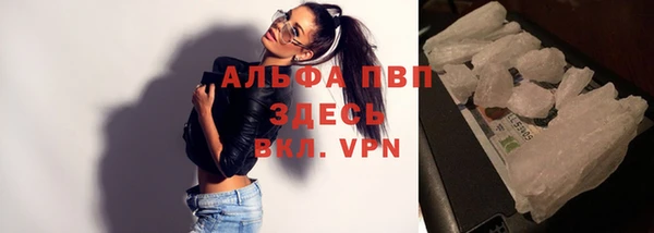 гашик Медногорск