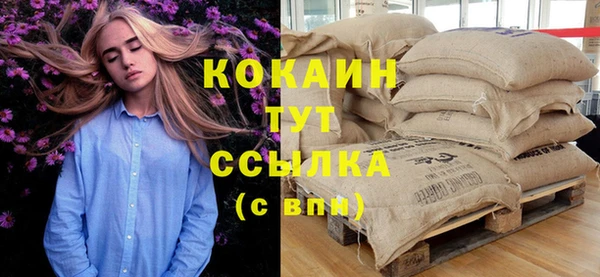 молекула духа Мегион