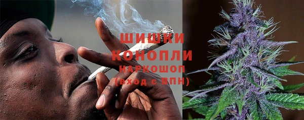 молекула духа Мегион