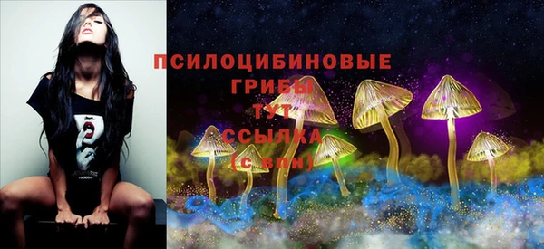 гашик Медногорск