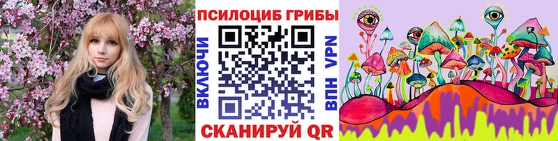 Псилоцибиновые грибы Psilocybe  Называевск 
